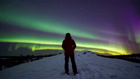 person gazing at the aurora borealis