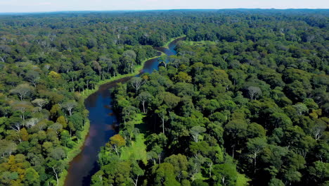 aerial view of a rainforest river