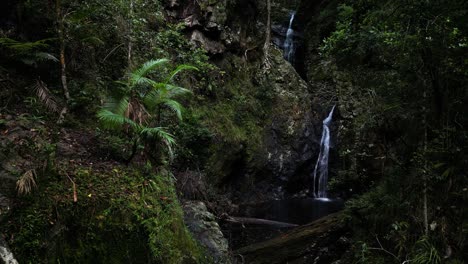 water cascading down moss covered waterfall rock pools hidden deep in a tropical jungle oasis