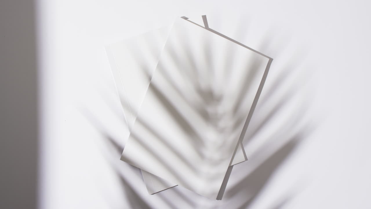 색 배경에 빈  페이지와 복사 공간을 가진 책 위에 식물의 그림자의 비디오