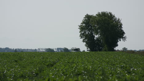 Una-Toma-Estática-De-Una-Camioneta-Cruzando-La-Pantalla,-Detrás-De-Un-Campo-De-Remolachas-Y-Un-Gran-árbol