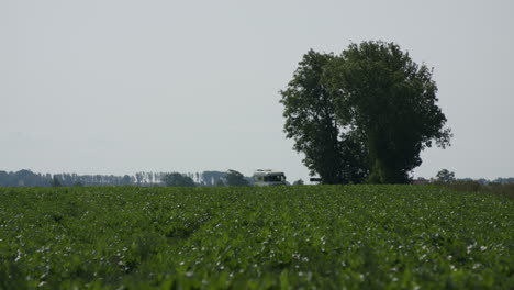 a static shot of a van driving across the screen, behind a field of beets and a large tree