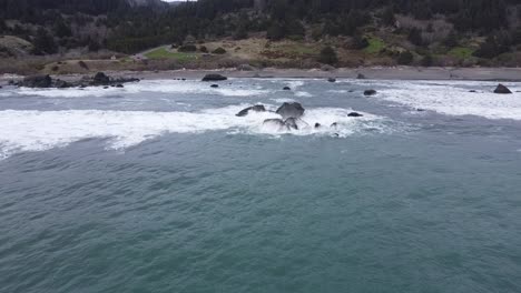 Aerial-View-of-rocky-beach---driftwood