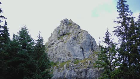 Tilt-up-camera-movement-reveals-a-peaked-stone-seen-from-the-forest-of-coniferous-trees-in-the-mountains