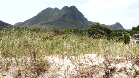 Dünengras-Weht-Im-Wind-Mit-Blick-Auf-Die-Berge-In-Südafrika