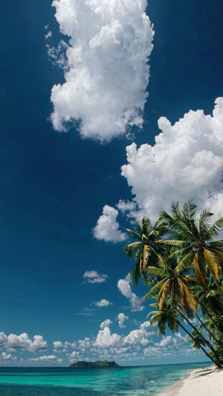 A vertical video captures a tropical beach with palm trees and a distant island under a vast sky