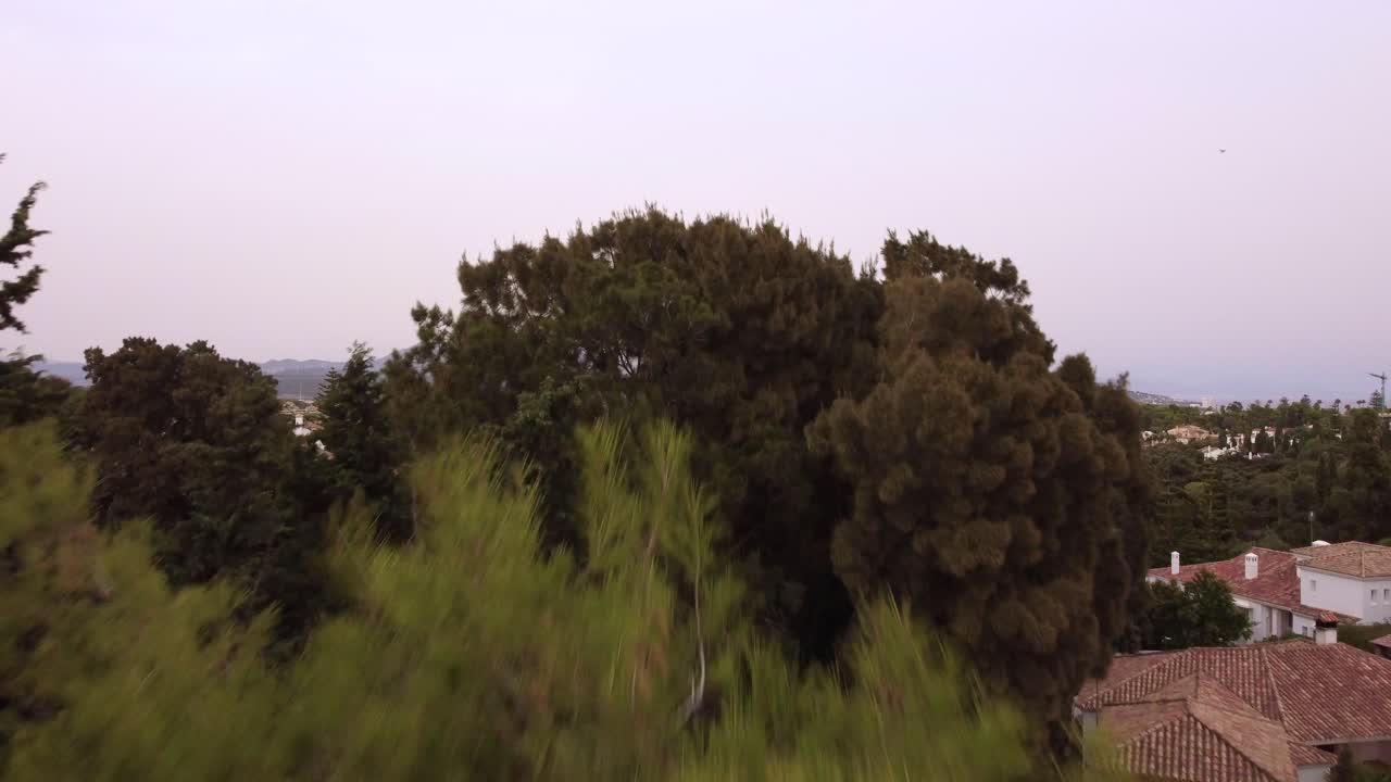 아름다운 스페인 풍경을 드러내기 위해 야자수 위로 날아가는 드론 샷