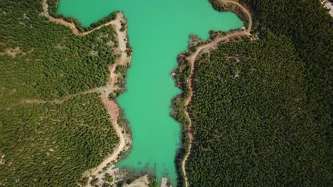 Agua-Turquesa-En-Un-Lago-De-Bosque-De-Montaña-Con-Pinos