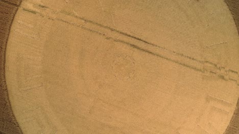 aerial view rising above golden remains of crop circle design after farmer cultivated wheat harvest
