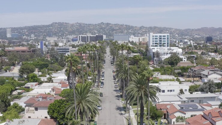 Splendido tracciamento aereo di palme su una strada di Beverly Hills