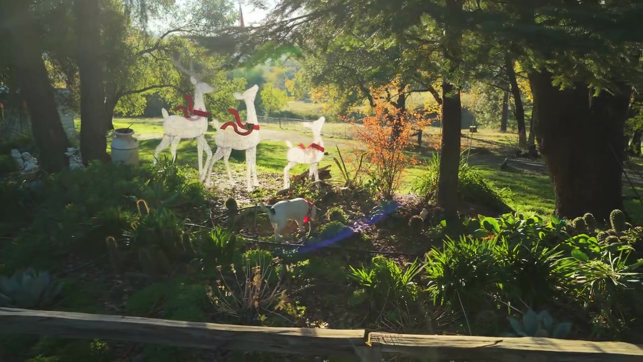 Decorative holiday reindeer display in wooded yard at Mt Aukum California