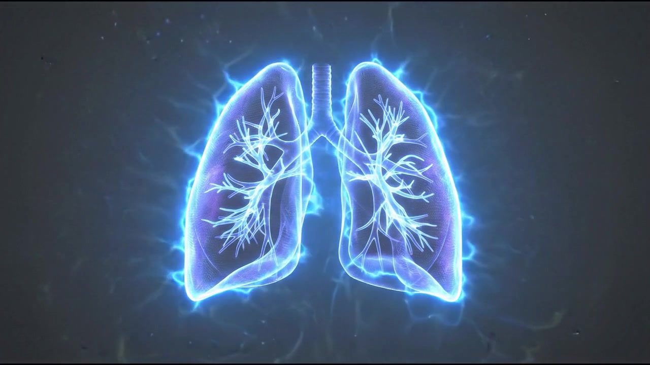 Animazione 3D olografica di polmoni umani che respirano