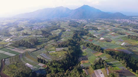 Aerial-view-of-large-vegetable-plantation-that-planted-by-scallion,-broccoli,-onion-and-potato-plant---Tropical-rural-landscape-of-Indonesia