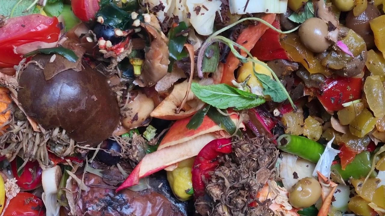 Close-up view of mixed organic kitchen waste including vegetable peels fruit remains and plant material collected in a compost bin illustrating the process of turning leftovers into nutrient rich soil