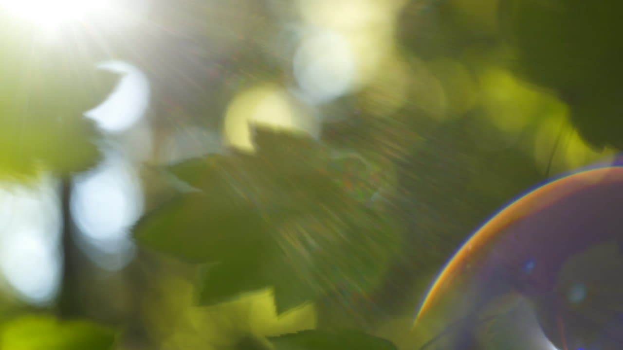 Extreme Shallow and Soft Focus of Leaves Reflecting a Stream of Water. High Key with Radial Bokeh and Flare.