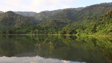 reflections of green forests over a lake in thailand