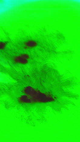 overhead vertical video shot of droplets of green and black paint or dye dropped into water against white background to create swirling colourful pattern