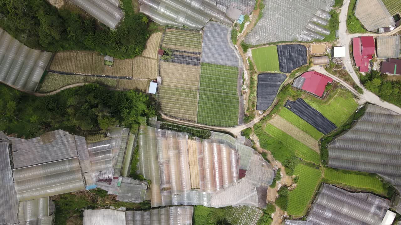 말레이시아의 카메론 하이랜드 지역 내의 브린창 지역의 일반 풍경