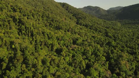 Slow-lowering-aerial-shot-towards-the-trees-in-the-dense-rainforest-of-Koh-Chang,-Thailand