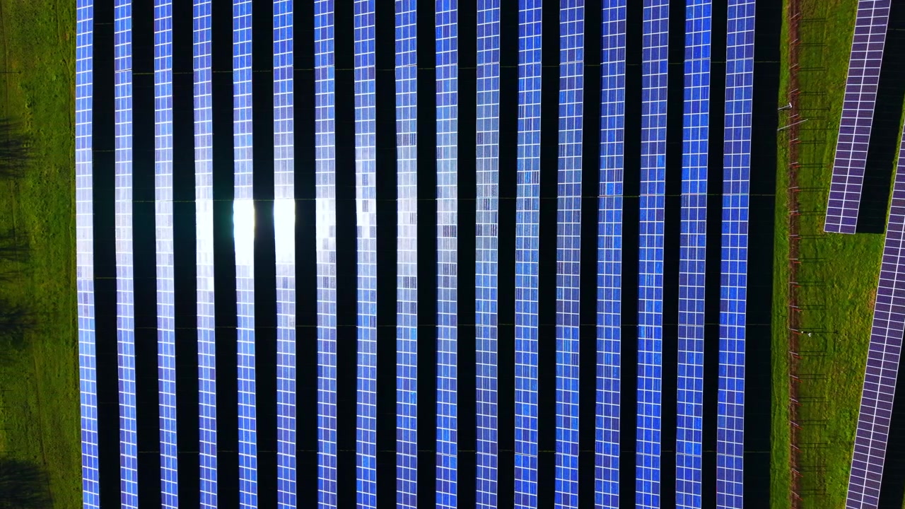 Ripresa aerea con drone di un campo di moduli fotovoltaici con il riflesso brillante del sole sulle celle blu vicino all'erba verde. Prospettiva dall'alto di un impianto di pannelli solari.