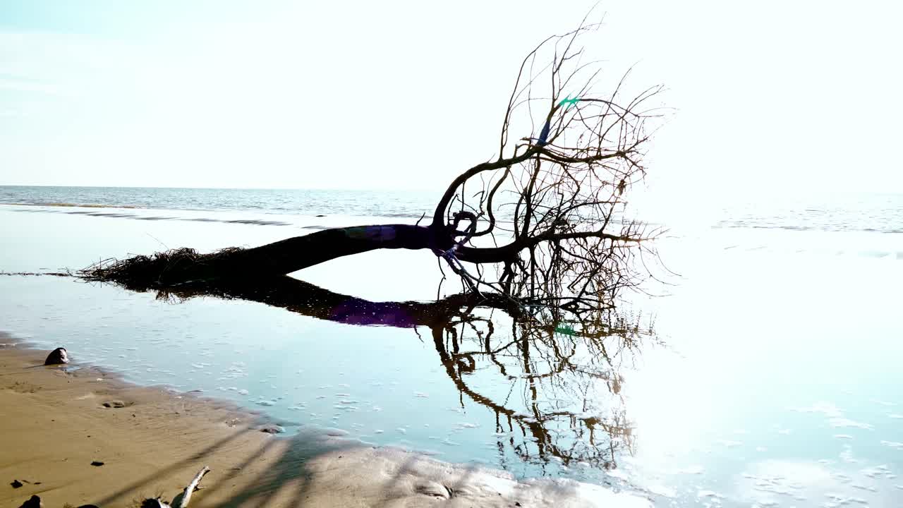 Underated Sunset Gerigat Beach,Fishing Village Kabong.White Sandy Beach,Green Coconut Trees and Blue Sea,Sky Sarawak,Borneo.