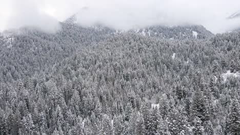 snowy winter mountain forest in utah's wasatch range, aerial winter landscape