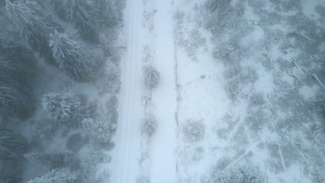 aerial view of snowfall in germany