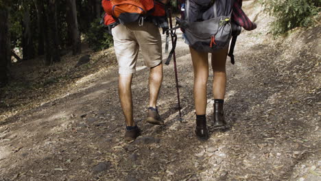 legs of hikers wearing camping backpacks and walking through forest