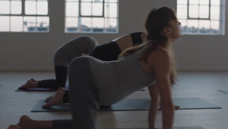 yoga class instructor teaching pregnant women exercising healthy lifestyle practicing cat cow pose enjoying group physical fitness workout in studio at sunrise