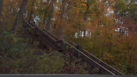 vista panorámica de un hombre subiendo una larga y alta escalera al aire libre