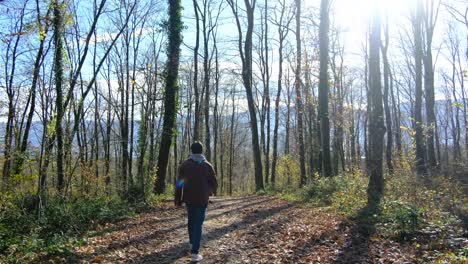 Man-walking-in-forest