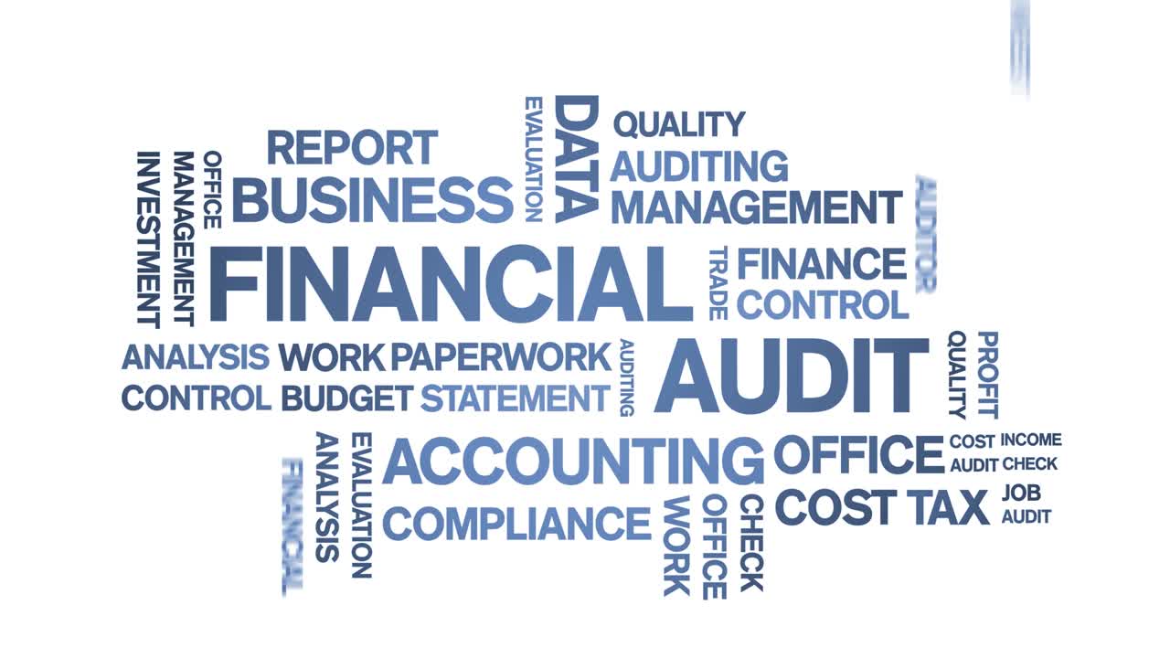 4k Financial Audit Animated Tag Word Cloud,Text Design Animation seamless loop.