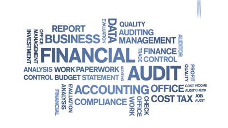 4k financial audit animated tag word cloud,text design animation seamless loop.