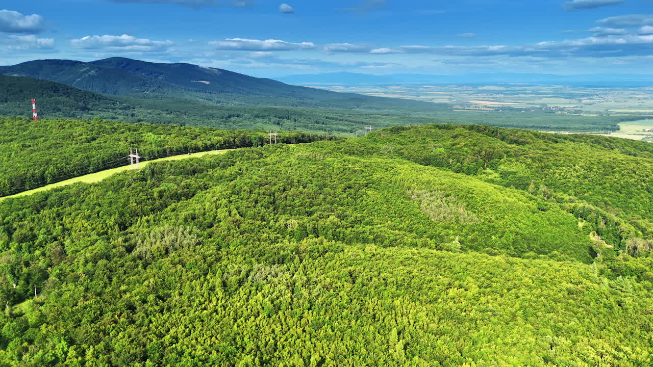 Vast green European forest. Lush green hills stretch across the horizon under a clear blue sky in a serene European countryside setting