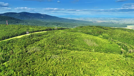 vast green european forest. lush green hills stretch across the horizon under a clear blue sky in a serene european countryside setting
