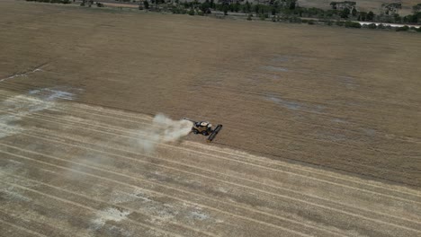 Aerial-establishing-shot-of-tractor-harvesting-wheat-field-during-sunny-day-in-summer