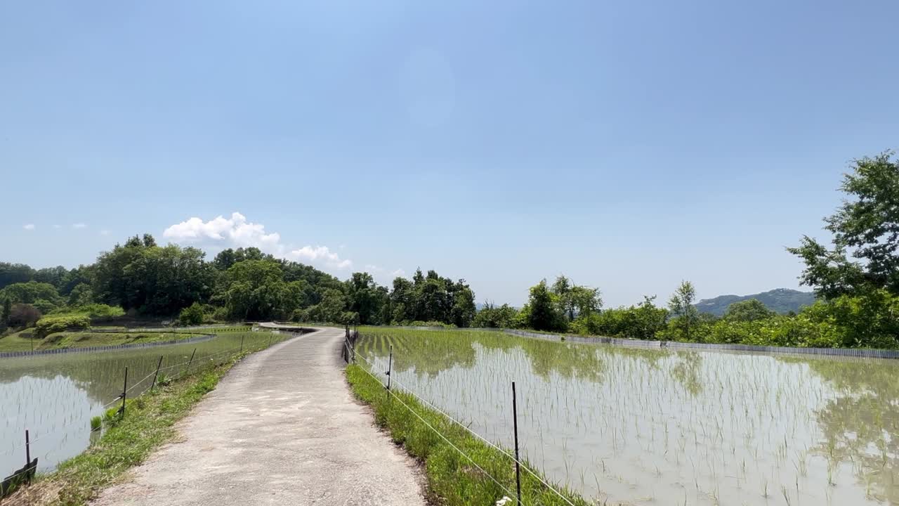 여름 중순에 아시아 농촌 마을, 은 파란 하늘, 그리고 테라스 된 .