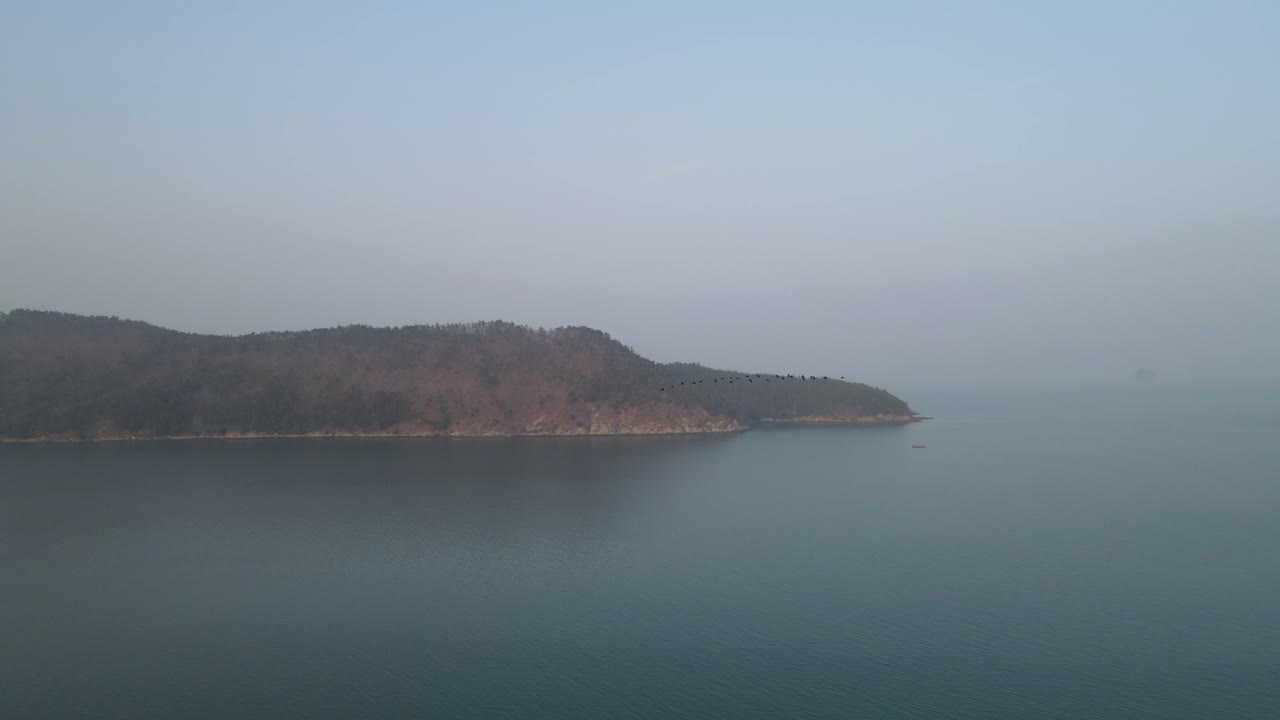 한국 고흥에서 날아가는 철새들