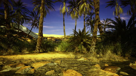 desert oasis at twilight with palm trees and tranquil water flow