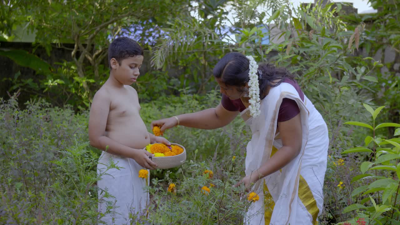 los niños arrancan flores para pookalam durante el festival de onam en kerala, india la recolección de flores es otra actividad durante los días de onam para la decoración de athapookalam