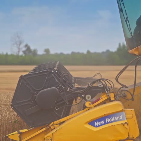 special machine cuts wheat. harvester mower mechanism cuts wheat spikelets
