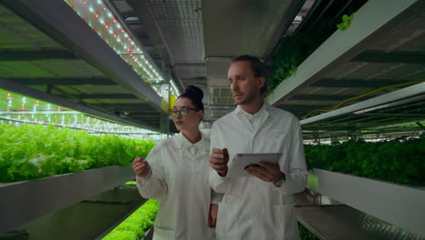 quality control engineers with tablet computer walking through modern greenhouse examining and discussing vegetable production