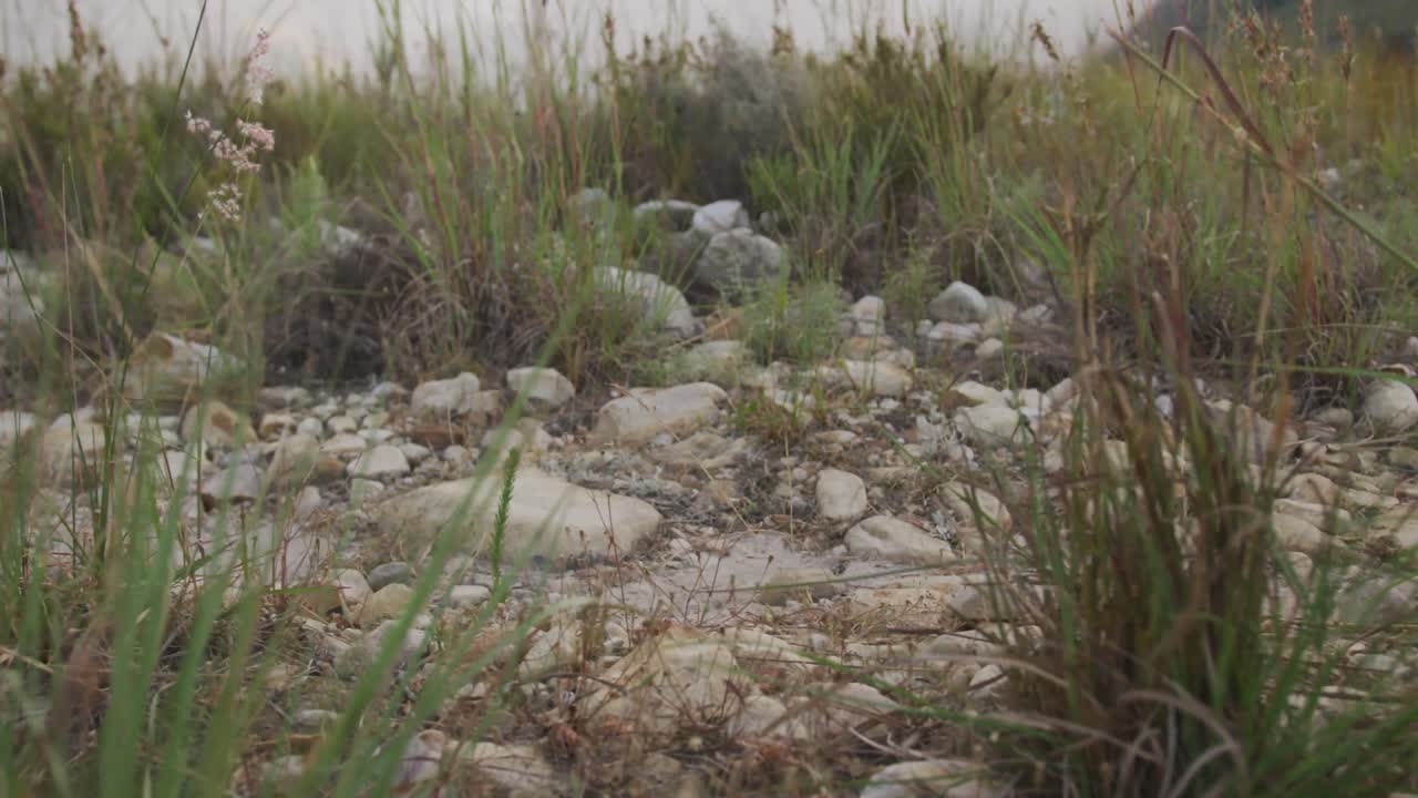 자연에서 하이킹하는 백인 여성