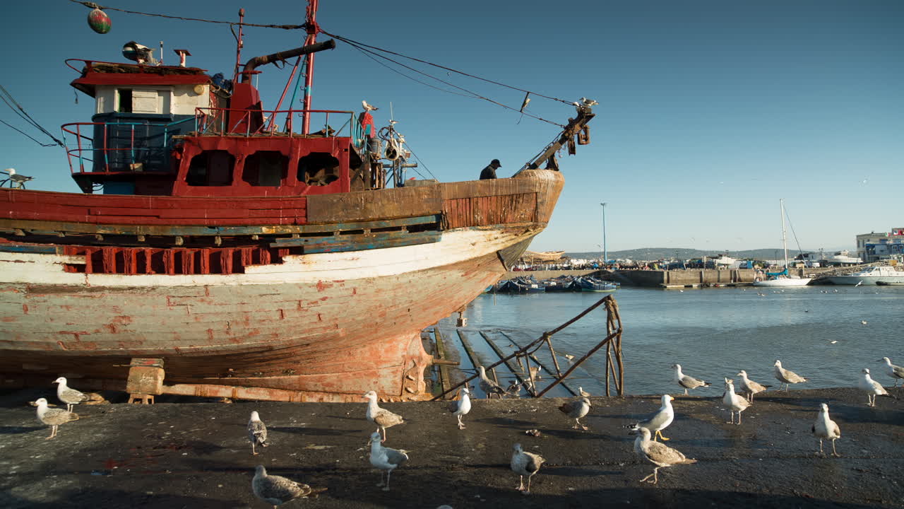 città costiera di essaouira, marocco