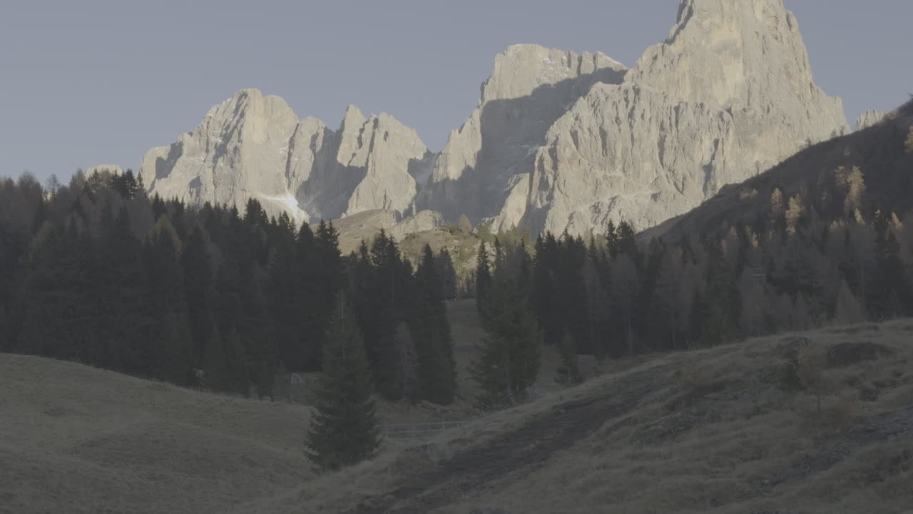 Alpine Mountain Range Landscape with Forest
