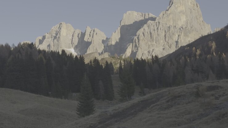 Alpine Mountain Range Landscape with Forest