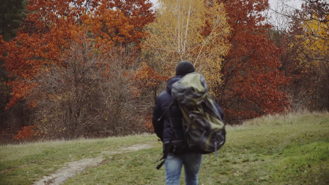 Male tourist in the forest. Young tourist with backpack walking by the forest in nature