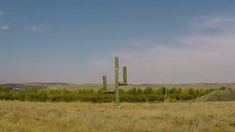 cactus hademade de madera en un campo campestre en un día soleado con un cielo azul