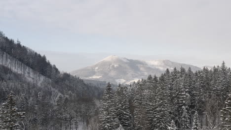 snowcapped mountain range beyond a forest valley in winter,czechia