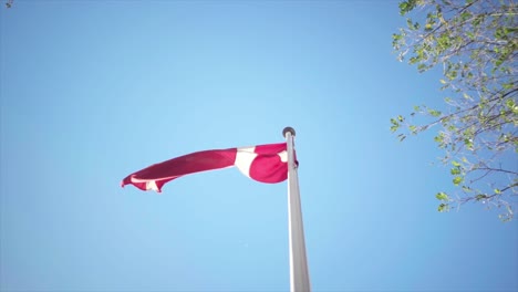 denmark's country flag